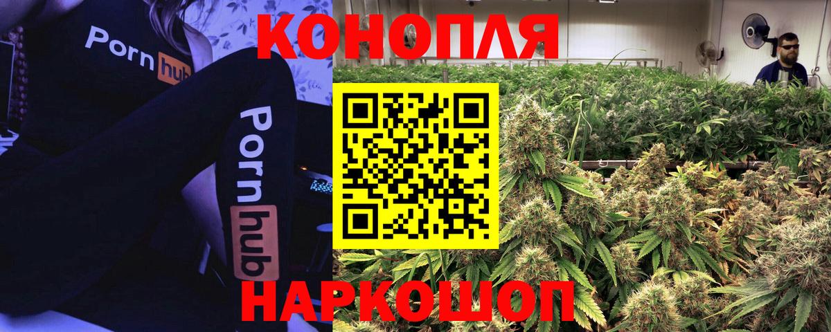 Бошки марихуана план  МАРИХУАНА тримм  Людиново  Вход с VPN  Канабис семена  Марихуана Amnesia 